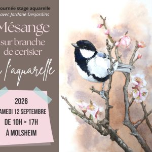 Journée de stage aquarelle "Mésange sur branche de cerisier"