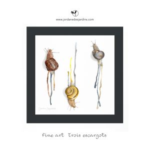 Trois escargots