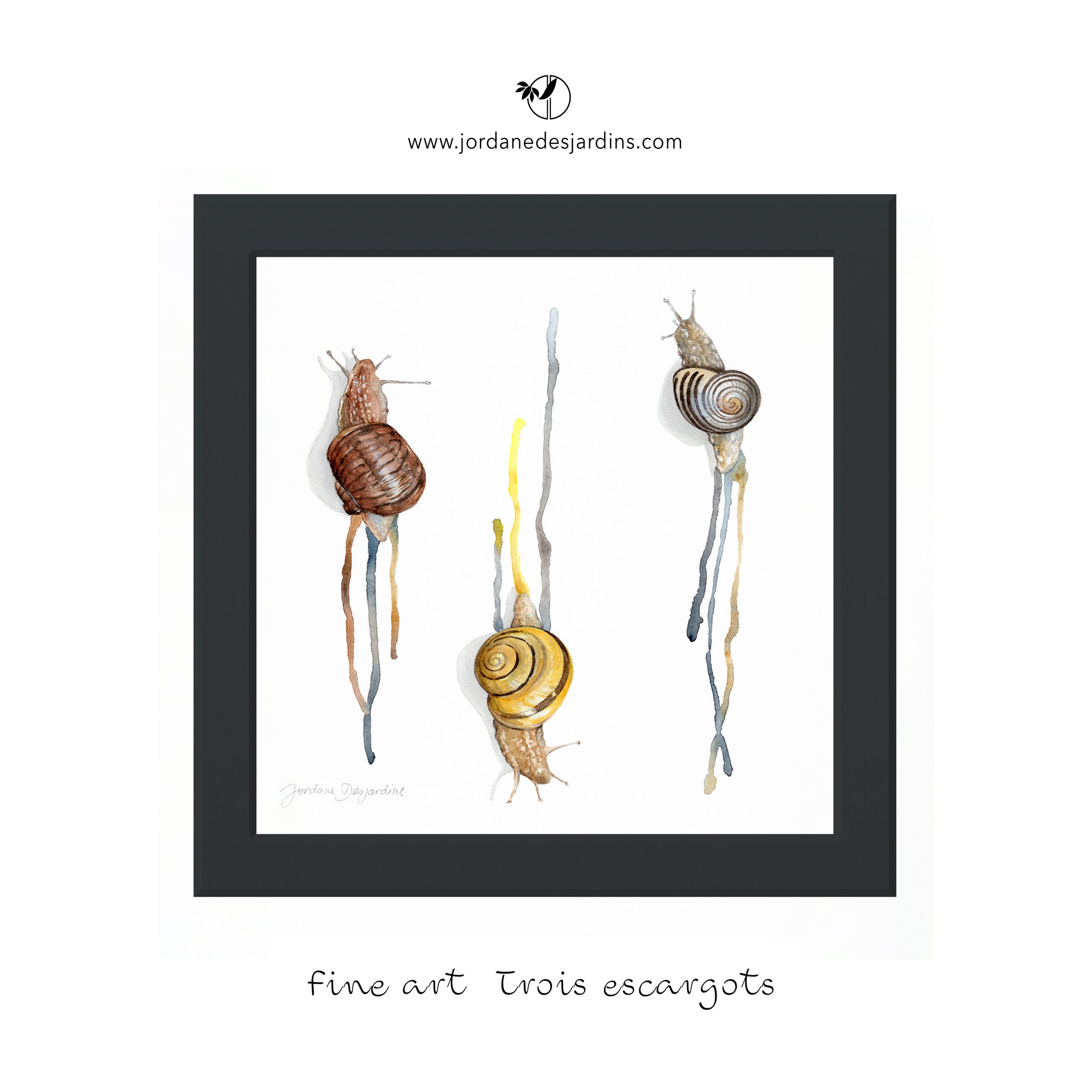 Trois escargots