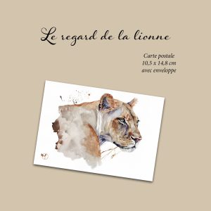 le regard de la lionne