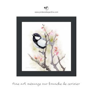 Mésange sur branche de cerisier
