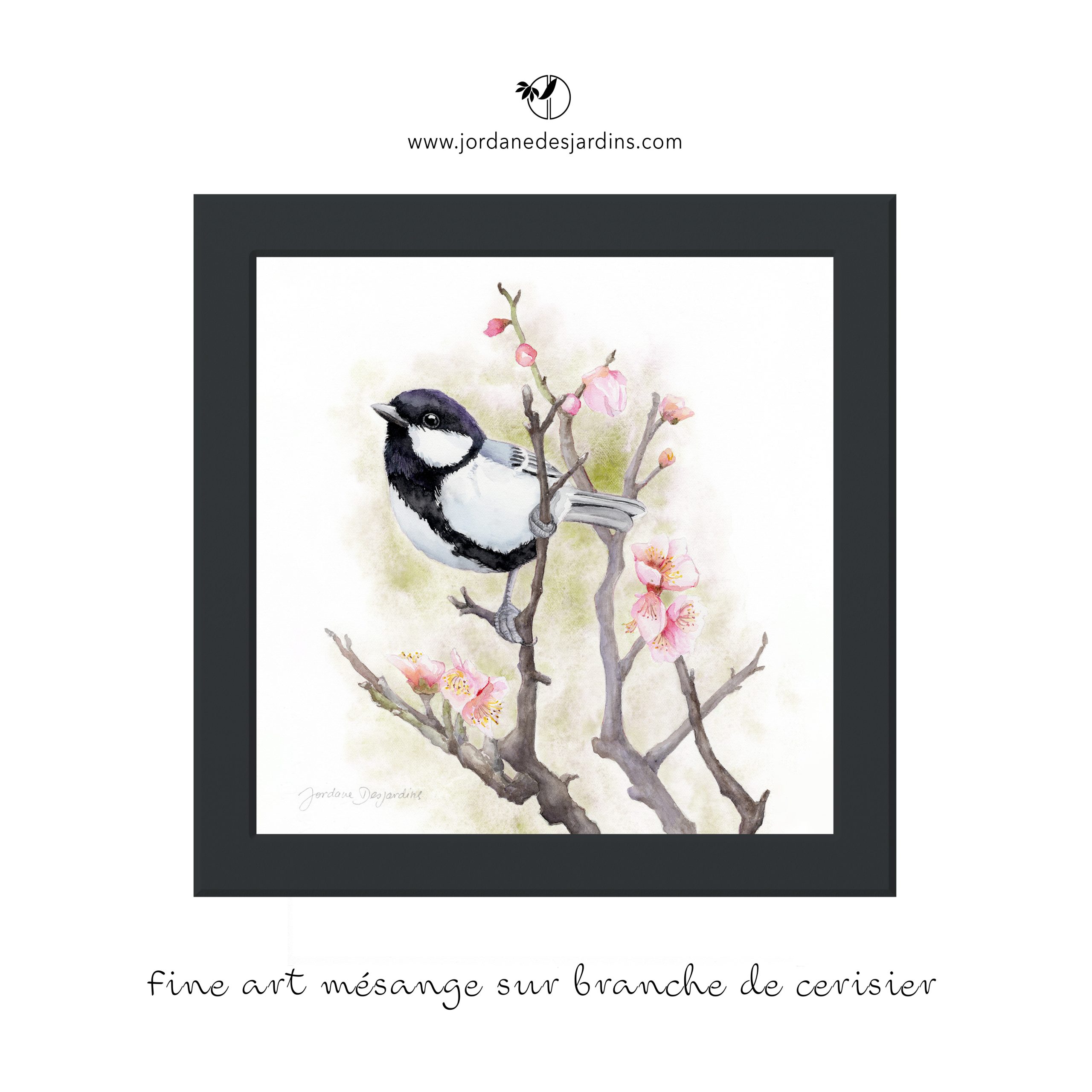 Mésange sur branche de cerisier