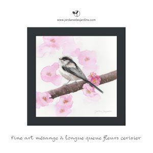 Mésange à longue queue est posée sur une branche de cerisier en fleur