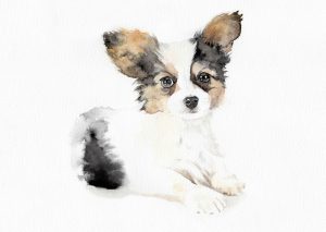 Jordane Desjardins artiste aquarelliste